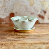 Studio Berry Bowl no. 2