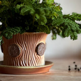 Woodfired Planter